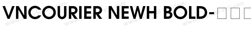 VnCourier NewH Bold字体转换